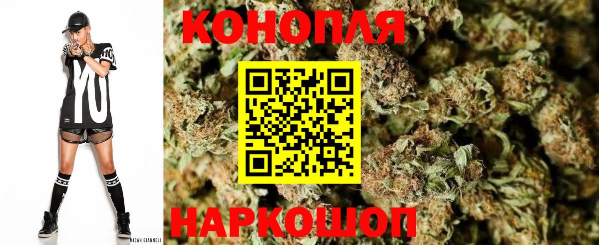Канабис планчик Солнечногорск